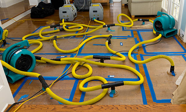 Professional Water Damage Repair technician working in Blackburn, MO